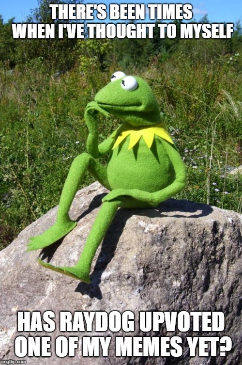 Kermit-thinking | THERE'S BEEN TIMES WHEN I'VE THOUGHT TO MYSELF; HAS RAYDOG UPVOTED ONE OF MY MEMES YET? | image tagged in kermit-thinking | made w/ Imgflip meme maker