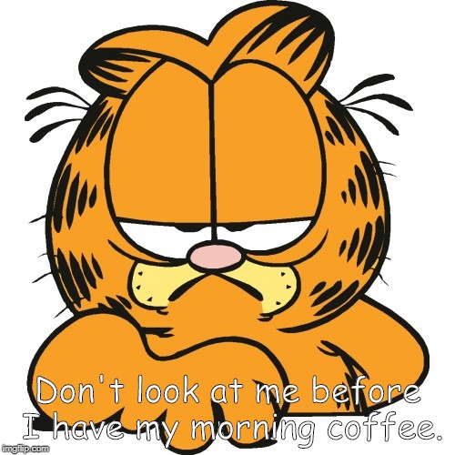 Garfield | Don't look at me before I have my morning coffee. | image tagged in garfield | made w/ Imgflip meme maker