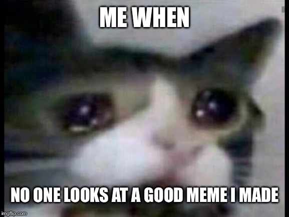 WHY | ME WHEN; NO ONE LOOKS AT A GOOD MEME I MADE | image tagged in why | made w/ Imgflip meme maker