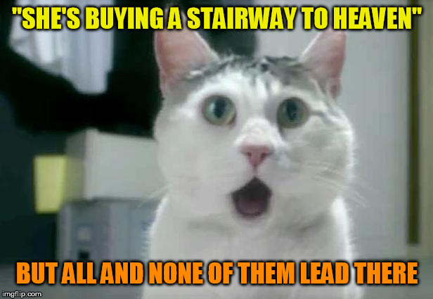 OMG Cat Meme | "SHE'S BUYING A STAIRWAY TO HEAVEN" BUT ALL AND NONE OF THEM LEAD THERE | image tagged in memes,omg cat | made w/ Imgflip meme maker