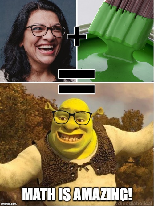 It adds up fellas...Rashida Tlaib is Shrek. | MATH IS AMAZING! | image tagged in rashida tlaib,shrek,math,amazing,green,paint | made w/ Imgflip meme maker
