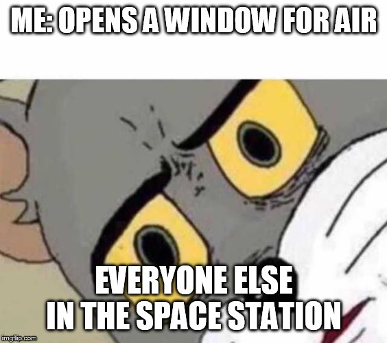 Tom Cat Unsettled Close up |  ME: OPENS A WINDOW FOR AIR; EVERYONE ELSE IN THE SPACE STATION | image tagged in tom cat unsettled close up | made w/ Imgflip meme maker