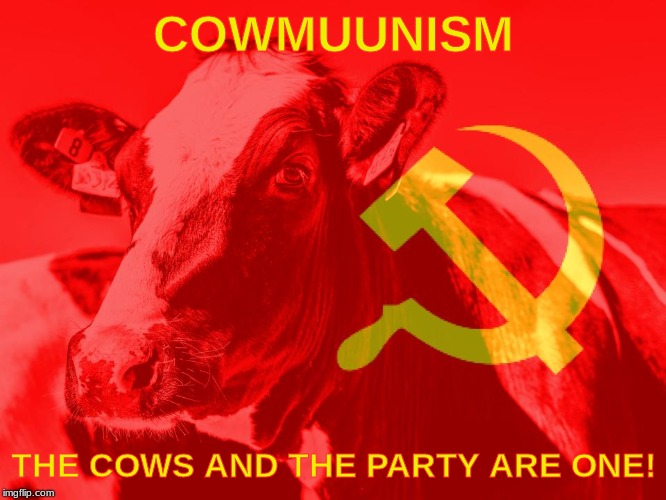 A Muu Ideology | COWMUUNISM; THE COWS AND THE PARTY ARE ONE! | image tagged in communism,cows,memes,evil cows,muu,soviet union | made w/ Imgflip meme maker