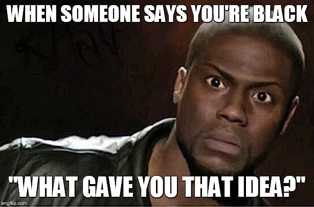 Kevin Hart Meme | WHEN SOMEONE SAYS YOU'RE BLACK; "WHAT GAVE YOU THAT IDEA?" | image tagged in memes,kevin hart | made w/ Imgflip meme maker