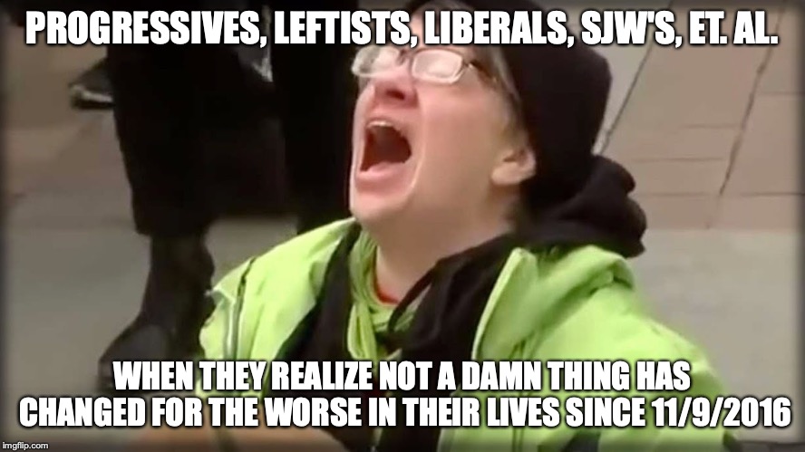 The only thing that's gotten worse since then is the cry-baby screeching | PROGRESSIVES, LEFTISTS, LIBERALS, SJW'S, ET. AL. WHEN THEY REALIZE NOT A DAMN THING HAS CHANGED FOR THE WORSE IN THEIR LIVES SINCE 11/9/2016 | image tagged in trump sjw no | made w/ Imgflip meme maker