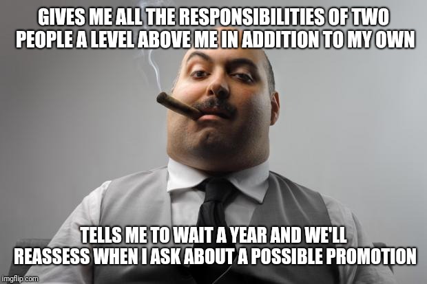 Scumbag Boss | GIVES ME ALL THE RESPONSIBILITIES OF TWO PEOPLE A LEVEL ABOVE ME IN ADDITION TO MY OWN; TELLS ME TO WAIT A YEAR AND WE'LL REASSESS WHEN I ASK ABOUT A POSSIBLE PROMOTION | image tagged in memes,scumbag boss,AdviceAnimals | made w/ Imgflip meme maker