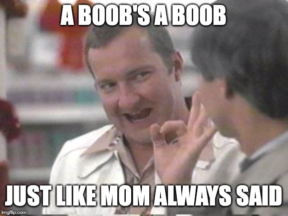 Cousin Eddie | A BOOB'S A BOOB JUST LIKE MOM ALWAYS SAID | image tagged in cousin eddie | made w/ Imgflip meme maker