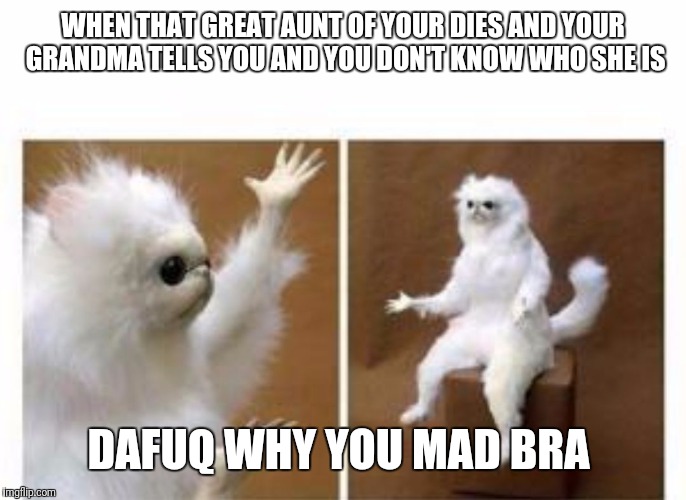 Confused white monkey | WHEN THAT GREAT AUNT OF YOUR DIES AND YOUR GRANDMA TELLS YOU AND YOU DON'T KNOW WHO SHE IS; DAFUQ WHY YOU MAD BRA | image tagged in confused white monkey | made w/ Imgflip meme maker