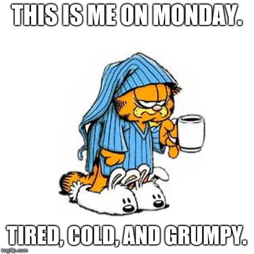 garfield-coffee | THIS IS ME ON MONDAY. TIRED, COLD, AND GRUMPY. | image tagged in garfield-coffee | made w/ Imgflip meme maker