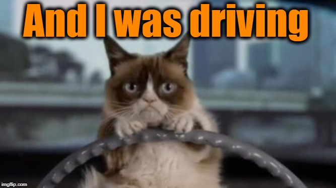 Grumpy cat driving | And I was driving | image tagged in grumpy cat driving | made w/ Imgflip meme maker