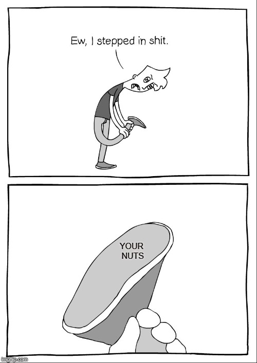 Ew, i stepped in shit | YOUR NUTS | image tagged in ew i stepped in shit | made w/ Imgflip meme maker