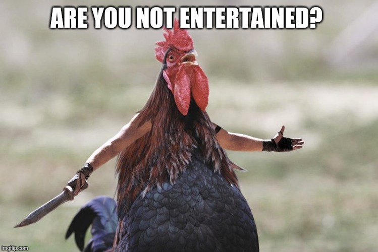 Gladiator Rooster | ARE YOU NOT ENTERTAINED? | image tagged in gladiator rooster | made w/ Imgflip meme maker