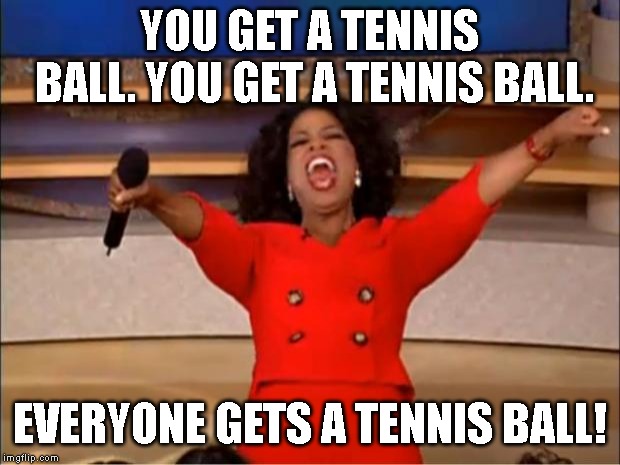 Oprah You Get A Meme | YOU GET A TENNIS BALL. YOU GET A TENNIS BALL. EVERYONE GETS A TENNIS BALL! | image tagged in memes,oprah you get a | made w/ Imgflip meme maker