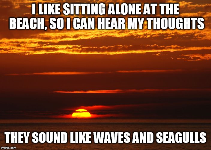 Sunset Deep Thoughts | I LIKE SITTING ALONE AT THE BEACH, SO I CAN HEAR MY THOUGHTS; THEY SOUND LIKE WAVES AND SEAGULLS | image tagged in sunset deep thoughts | made w/ Imgflip meme maker