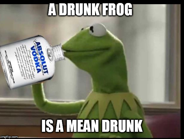 Kermit Vodka | A DRUNK FROG; IS A MEAN DRUNK | image tagged in kermit vodka | made w/ Imgflip meme maker
