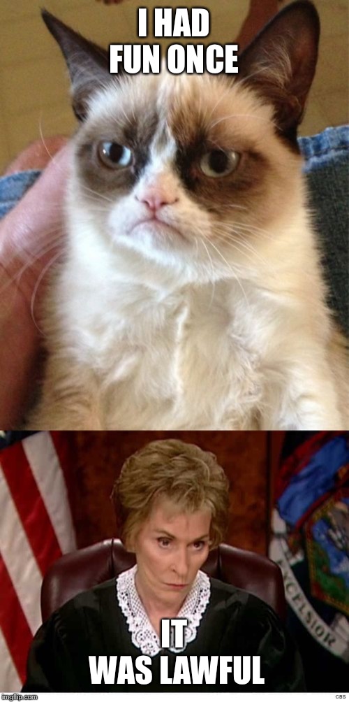 I HAD FUN ONCE; IT WAS LAWFUL | image tagged in memes,grumpy cat | made w/ Imgflip meme maker