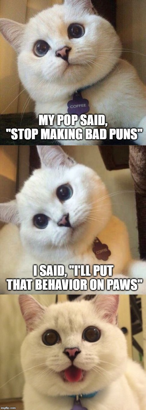 I'm certain his dad smacked his own forehead | MY POP SAID, "STOP MAKING BAD PUNS"; I SAID, "I'LL PUT THAT BEHAVIOR ON PAWS" | image tagged in bad pun cat,memes,paws | made w/ Imgflip meme maker
