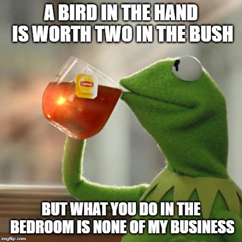 It does sound kinda kinky | A BIRD IN THE HAND IS WORTH TWO IN THE BUSH; BUT WHAT YOU DO IN THE BEDROOM IS NONE OF MY BUSINESS | image tagged in memes,but thats none of my business,kermit the frog,bird | made w/ Imgflip meme maker