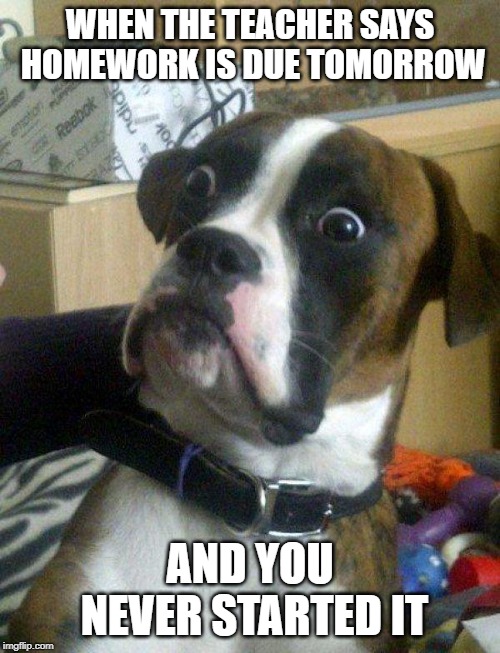 Blankie the Shocked Dog | WHEN THE TEACHER SAYS HOMEWORK IS DUE TOMORROW; AND YOU NEVER STARTED IT | image tagged in blankie the shocked dog | made w/ Imgflip meme maker