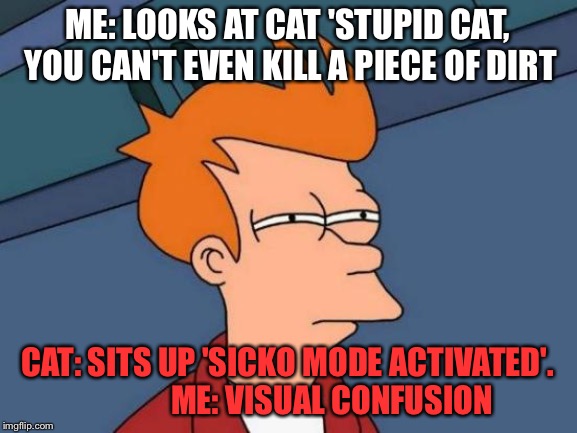 Futurama Fry | ME: LOOKS AT CAT 'STUPID CAT, YOU CAN'T EVEN KILL A PIECE OF DIRT; CAT: SITS UP 'SICKO MODE ACTIVATED'.             
ME: VISUAL CONFUSION | image tagged in memes,futurama fry | made w/ Imgflip meme maker