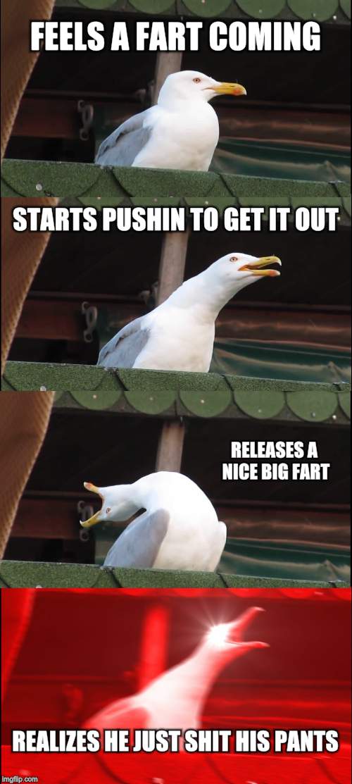 Inhaling Seagull Meme | FEELS A FART COMING; STARTS PUSHIN TO GET IT OUT; RELEASES A NICE BIG FART; REALIZES HE JUST SHIT HIS PANTS | image tagged in memes,inhaling seagull | made w/ Imgflip meme maker