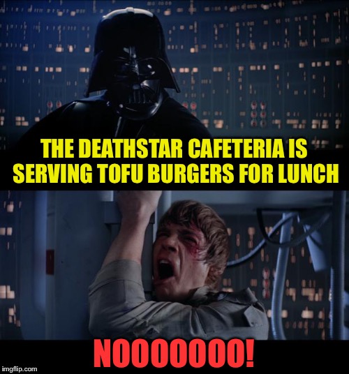 Heartless Vader can be. | THE DEATHSTAR CAFETERIA IS SERVING TOFU BURGERS FOR LUNCH; NOOOOOOO! | image tagged in memes,star wars no,tofu,burger,funny | made w/ Imgflip meme maker