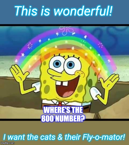 spongebob imagination | This is wonderful! I want the cats & their Fly-o-mator! WHERE'S THE 800 NUMBER? | image tagged in spongebob imagination | made w/ Imgflip meme maker