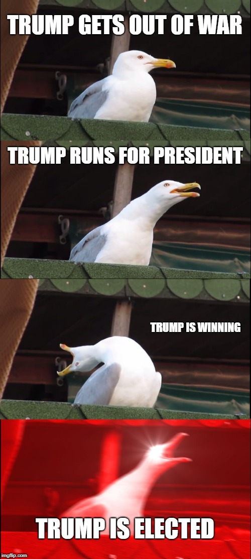 Inhaling Seagull | TRUMP GETS OUT OF WAR; TRUMP RUNS FOR PRESIDENT; TRUMP IS WINNING; TRUMP IS ELECTED | image tagged in memes,inhaling seagull | made w/ Imgflip meme maker