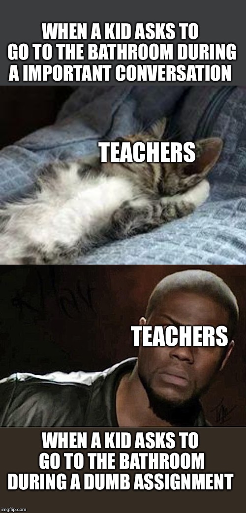 School Rules | WHEN A KID ASKS TO GO TO THE BATHROOM DURING A IMPORTANT CONVERSATION; TEACHERS; TEACHERS; WHEN A KID ASKS TO GO TO THE BATHROOM DURING A DUMB ASSIGNMENT | image tagged in memes,kevin hart,the chillin kitten,school meme,rules,dumb people | made w/ Imgflip meme maker