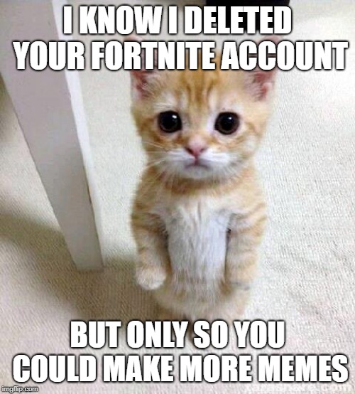 Cute Cat | I KNOW I DELETED YOUR FORTNITE ACCOUNT; BUT ONLY SO YOU COULD MAKE MORE MEMES | image tagged in memes,cute cat | made w/ Imgflip meme maker