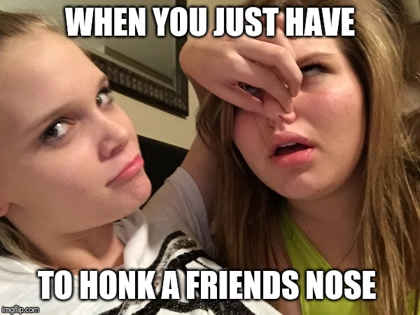 Honking time | WHEN YOU JUST HAVE; TO HONK A FRIENDS NOSE | image tagged in nose,friends | made w/ Imgflip meme maker