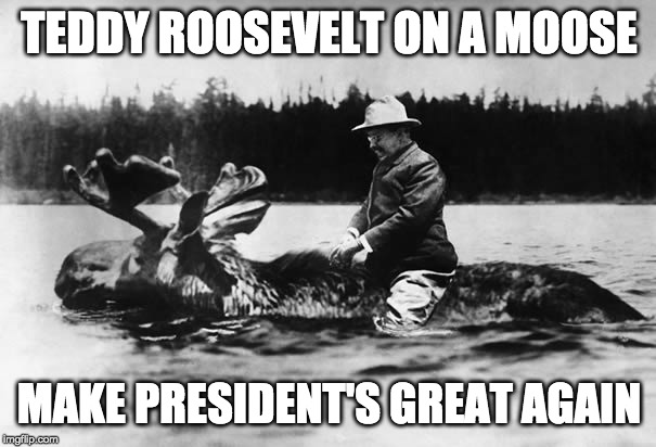 Teddy Roosevelt on a Moose | TEDDY ROOSEVELT ON A MOOSE; MAKE PRESIDENT'S GREAT AGAIN | image tagged in teddy roosevelt on a moose | made w/ Imgflip meme maker