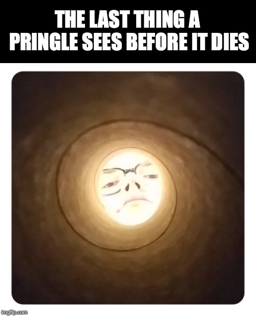Meet The Master | THE LAST THING A PRINGLE SEES BEFORE IT DIES | image tagged in pringles,eaten | made w/ Imgflip meme maker