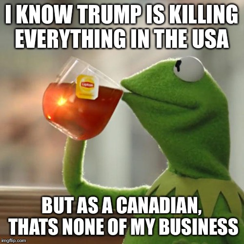 But That's None Of My Business | I KNOW TRUMP IS KILLING EVERYTHING IN THE USA; BUT AS A CANADIAN, THATS NONE OF MY BUSINESS | image tagged in memes,but thats none of my business,kermit the frog | made w/ Imgflip meme maker
