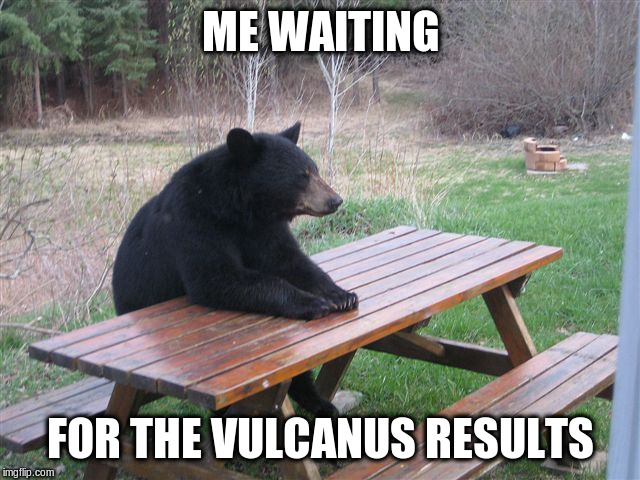 Patient Bear | ME WAITING; FOR THE VULCANUS RESULTS | image tagged in patient bear | made w/ Imgflip meme maker