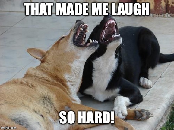 Dogs laughing | THAT MADE ME LAUGH SO HARD! | image tagged in dogs laughing | made w/ Imgflip meme maker