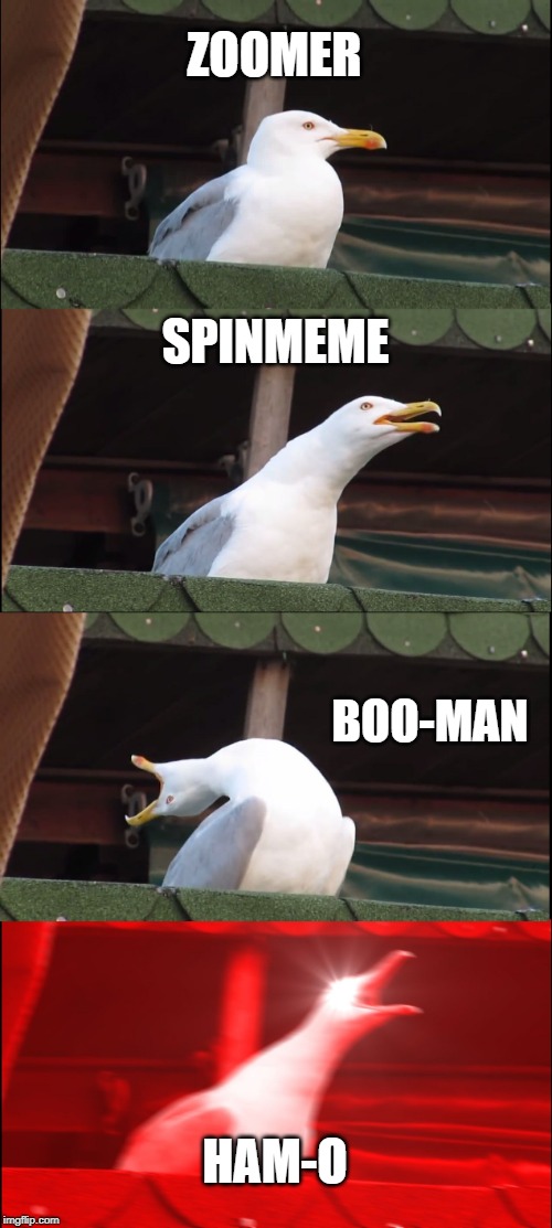 Zoomer's Family best | ZOOMER; SPINMEME; BOO-MAN; HAM-O | image tagged in memes,inhaling seagull | made w/ Imgflip meme maker