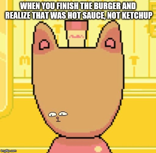 WHEN YOU FINISH THE BURGER AND REALIZE THAT WAS HOT SAUCE, NOT KETCHUP | image tagged in wait | made w/ Imgflip meme maker