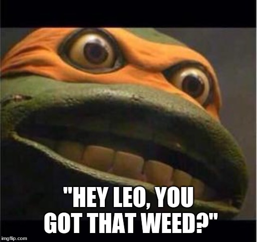 I've been through some rough stuff lately, hopefully this can help my spiraling depression. | "HEY LEO, YOU GOT THAT WEED?" | image tagged in teen age mutant ninja turtle | made w/ Imgflip meme maker