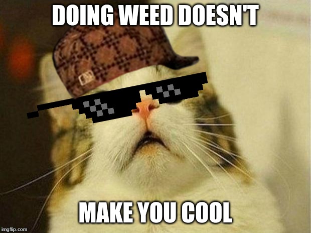 Scared Cat | DOING WEED DOESN'T; MAKE YOU COOL | image tagged in memes,scared cat | made w/ Imgflip meme maker