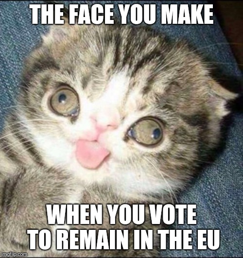 THE FACE YOU MAKE; WHEN YOU VOTE TO REMAIN IN THE EU | image tagged in memes | made w/ Imgflip meme maker