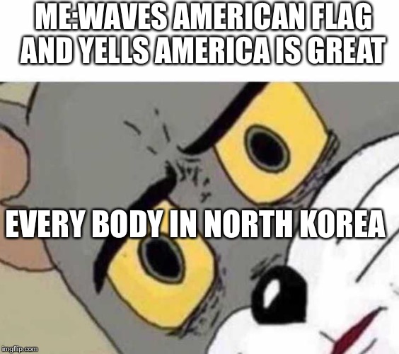 Tom Cat Unsettled Close up | ME:WAVES AMERICAN FLAG AND YELLS AMERICA IS GREAT; EVERY BODY IN NORTH KOREA | image tagged in tom cat unsettled close up | made w/ Imgflip meme maker