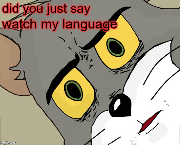 Unsettled Tom Meme | did you just say watch my language | image tagged in memes,unsettled tom | made w/ Imgflip meme maker