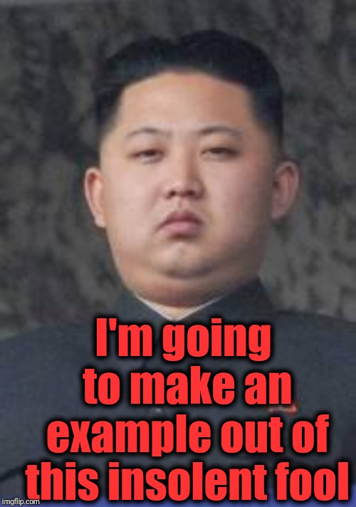 Kim Jong Un | I'm going to make an example out of this insolent fool | image tagged in kim jong un | made w/ Imgflip meme maker