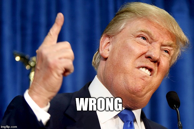 Donald Trump | WRONG | image tagged in donald trump | made w/ Imgflip meme maker