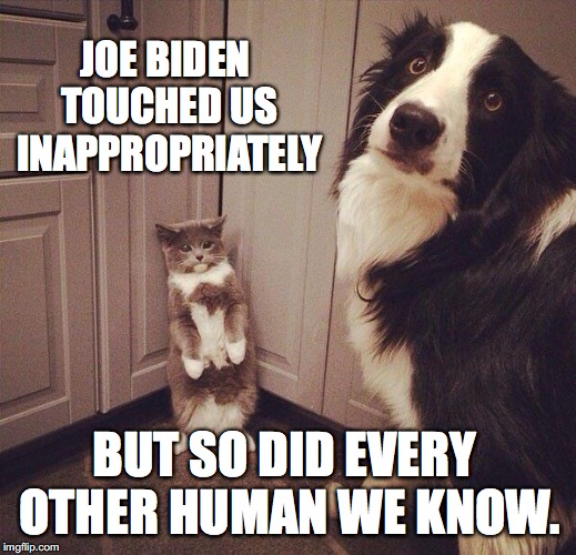 Cat dog pets | JOE BIDEN TOUCHED US INAPPROPRIATELY; BUT SO DID EVERY OTHER HUMAN WE KNOW. | image tagged in cat dog pets | made w/ Imgflip meme maker