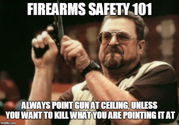 Am I The Only One Around Here | FIREARMS SAFETY 101; ALWAYS POINT GUN AT CEILING, UNLESS YOU WANT TO KILL WHAT YOU ARE POINTING IT AT | image tagged in memes,am i the only one around here | made w/ Imgflip meme maker