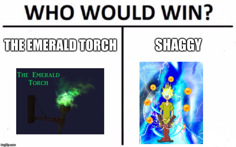 Who Would Win? Meme | THE EMERALD TORCH; SHAGGY | image tagged in memes,who would win | made w/ Imgflip meme maker