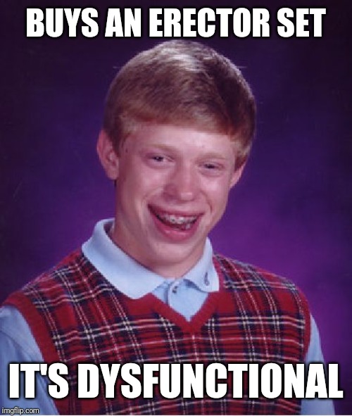 Bad Luck Brian Meme | BUYS AN ERECTOR SET; IT'S DYSFUNCTIONAL | image tagged in memes,bad luck brian | made w/ Imgflip meme maker