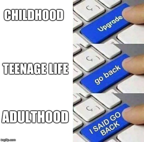 I SAID GO BACK | CHILDHOOD; TEENAGE LIFE; ADULTHOOD | image tagged in i said go back | made w/ Imgflip meme maker